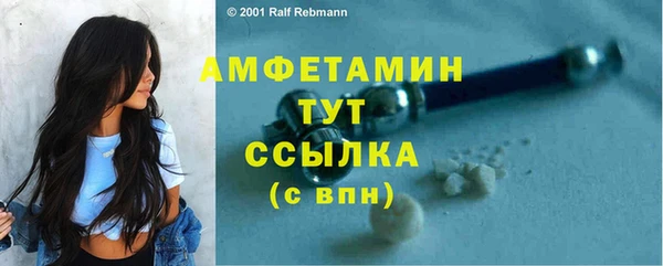 кокс Богородицк