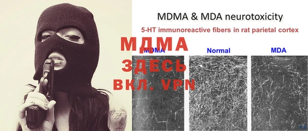 мяу мяу мука Бугульма