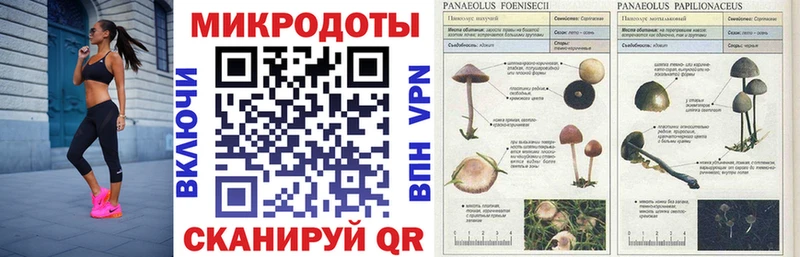 цены   Называевск  Галлюциногенные грибы мицелий 